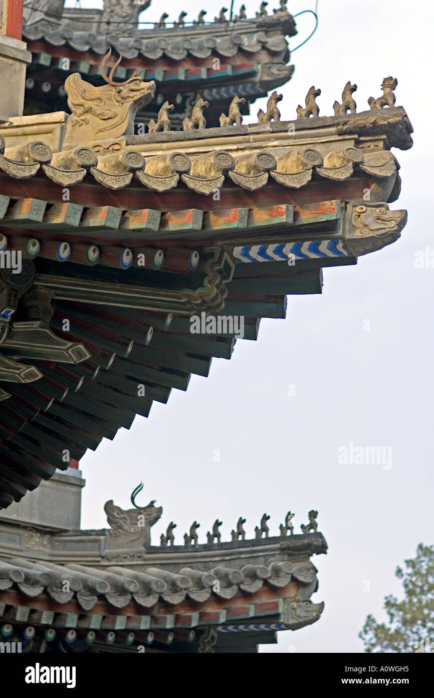 Chine Pékin Palais d'été, détail 9 Minzu Yuan de sculptures et peintures sous les gouttières de la toiture courbée sculptures animales. Banque D'Images