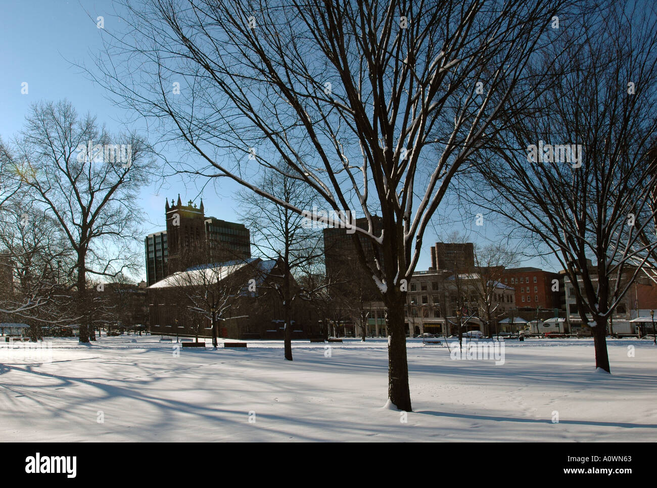 La neige et les arbres vert de New Haven New Haven New York City Scenics Centre d'affaires de l'hiver Banque D'Images