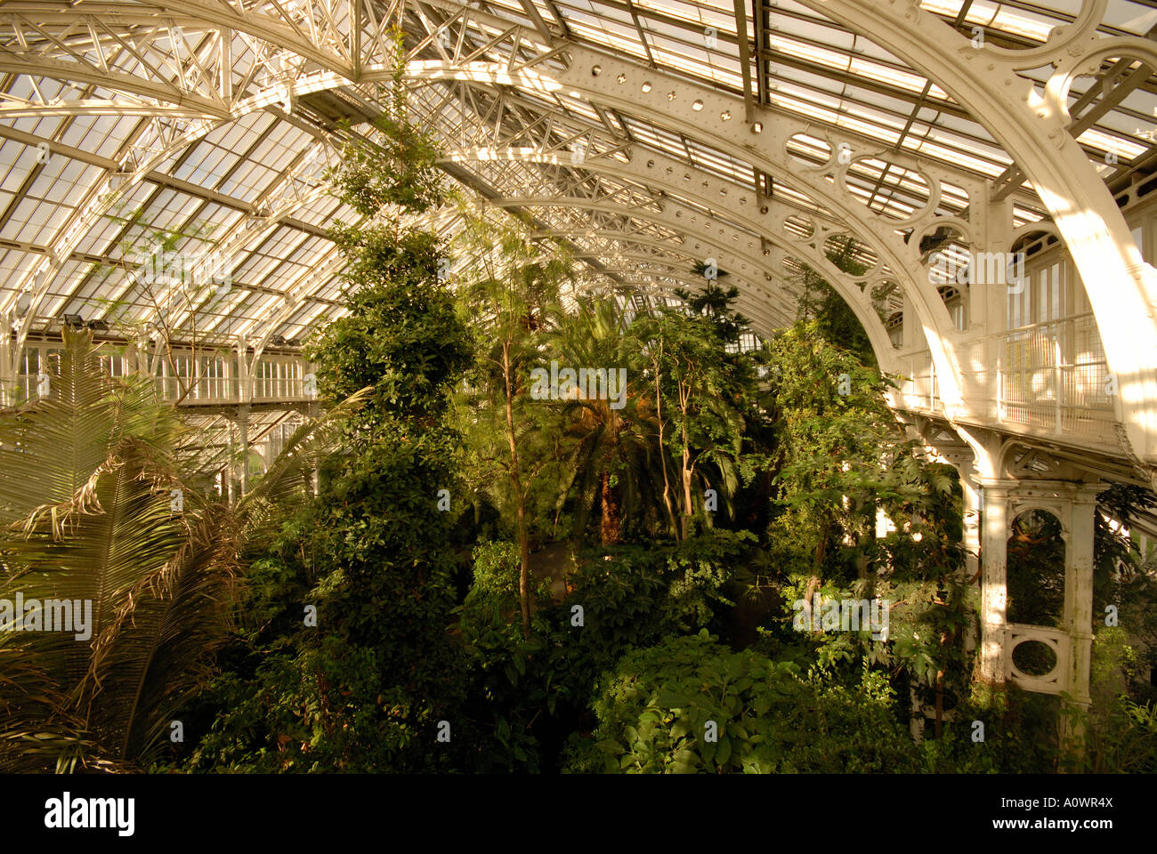 La Chambre des régions tempérées, les jardins de Kew, Surrey. Banque D'Images