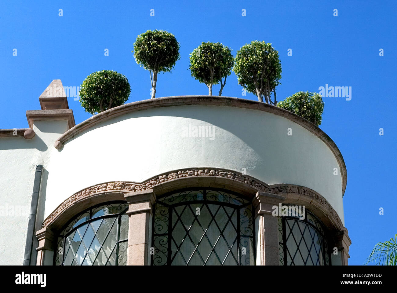 Les buissons taillés sur un bâtiment dans la ville de Mexico Banque D'Images