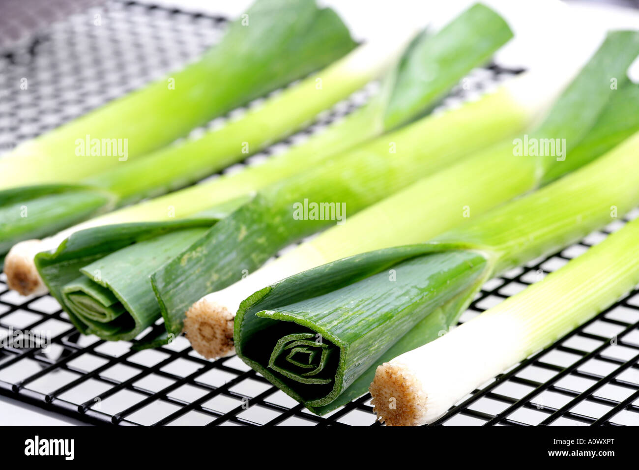 Poireau Bebe Photo Stock Alamy