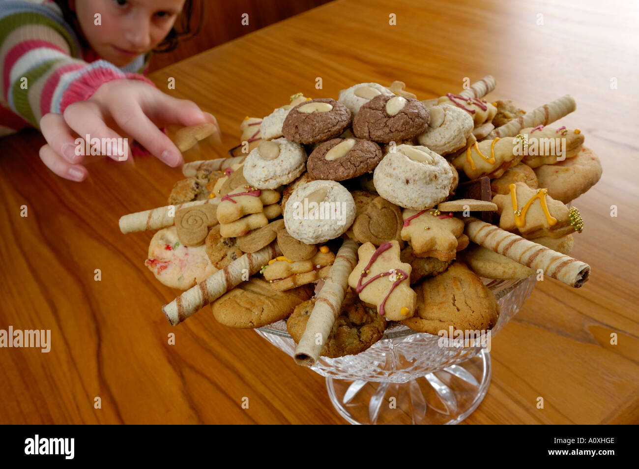 Fille de prendre un bol de biscuit de noël sur une table de salle à manger en teck Banque D'Images