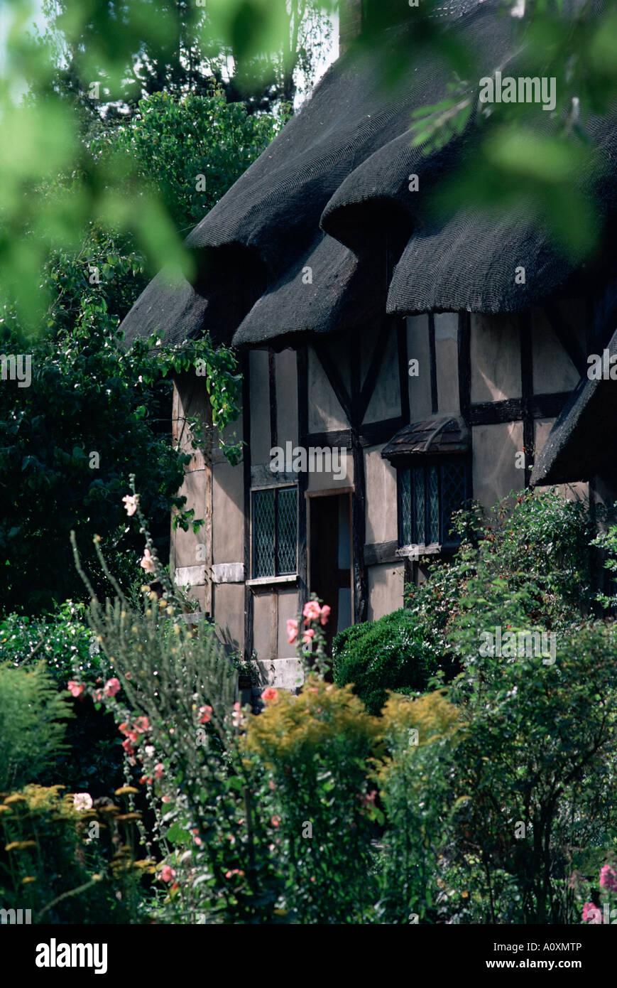 Anne Hathaway Cottage Shottery s près de Stratford Upon Avon, Warwickshire, Angleterre Royaume-Uni Europe Banque D'Images