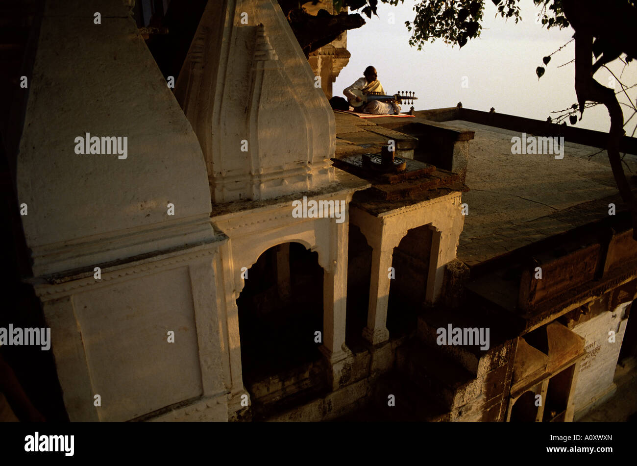 Homme jouant de sarod sur terrasse Inde Asie Banque D'Images
