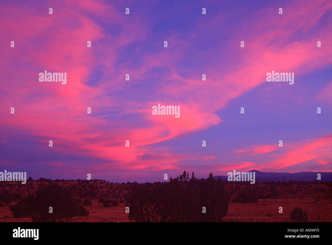 Les nuages rose et violet ciel au crépuscule, Nouveau Mexique USA Banque D'Images