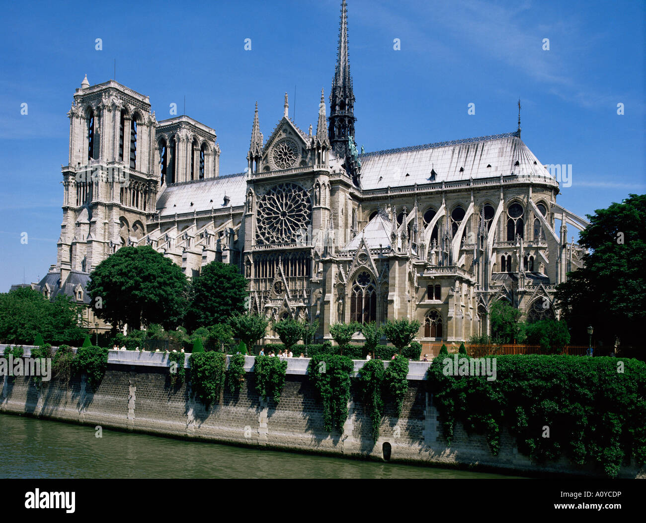 La cathédrale Notre Dame de la Rive Gauche Paris France Europe Banque D'Images