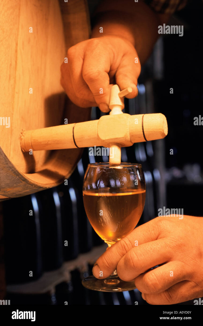 Cidre dégustation cidrerie Normandie France Europe Banque D'Images