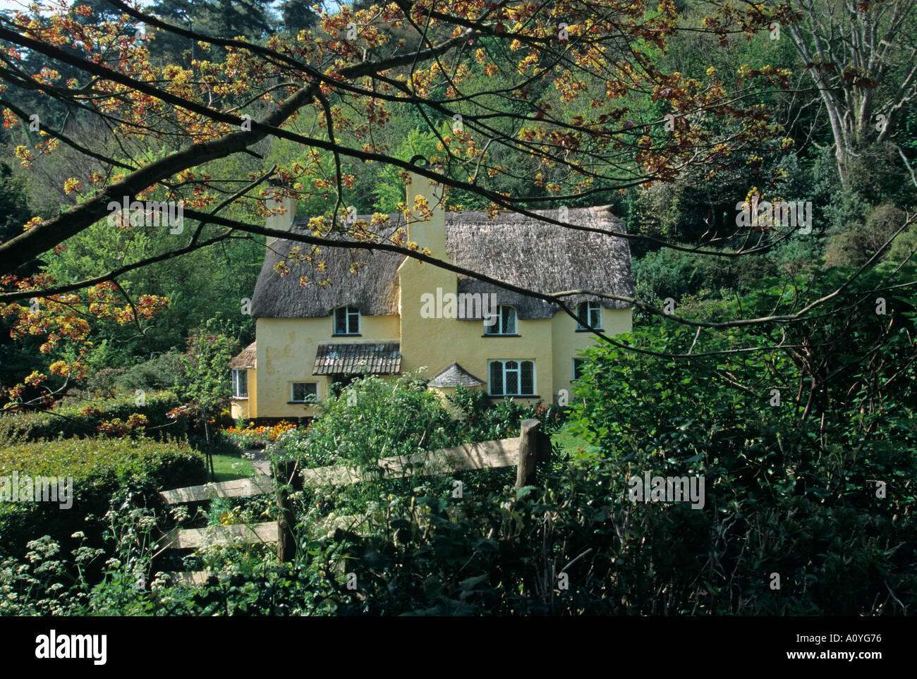 Selworthy UK Somerset Village Printemps Banque D'Images