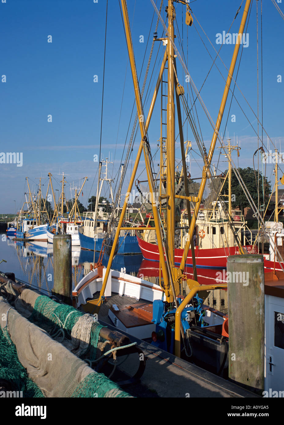 Europa Europe Allemagne Deutschland Schleswig Holtstein Friedrichskoog Banque D'Images