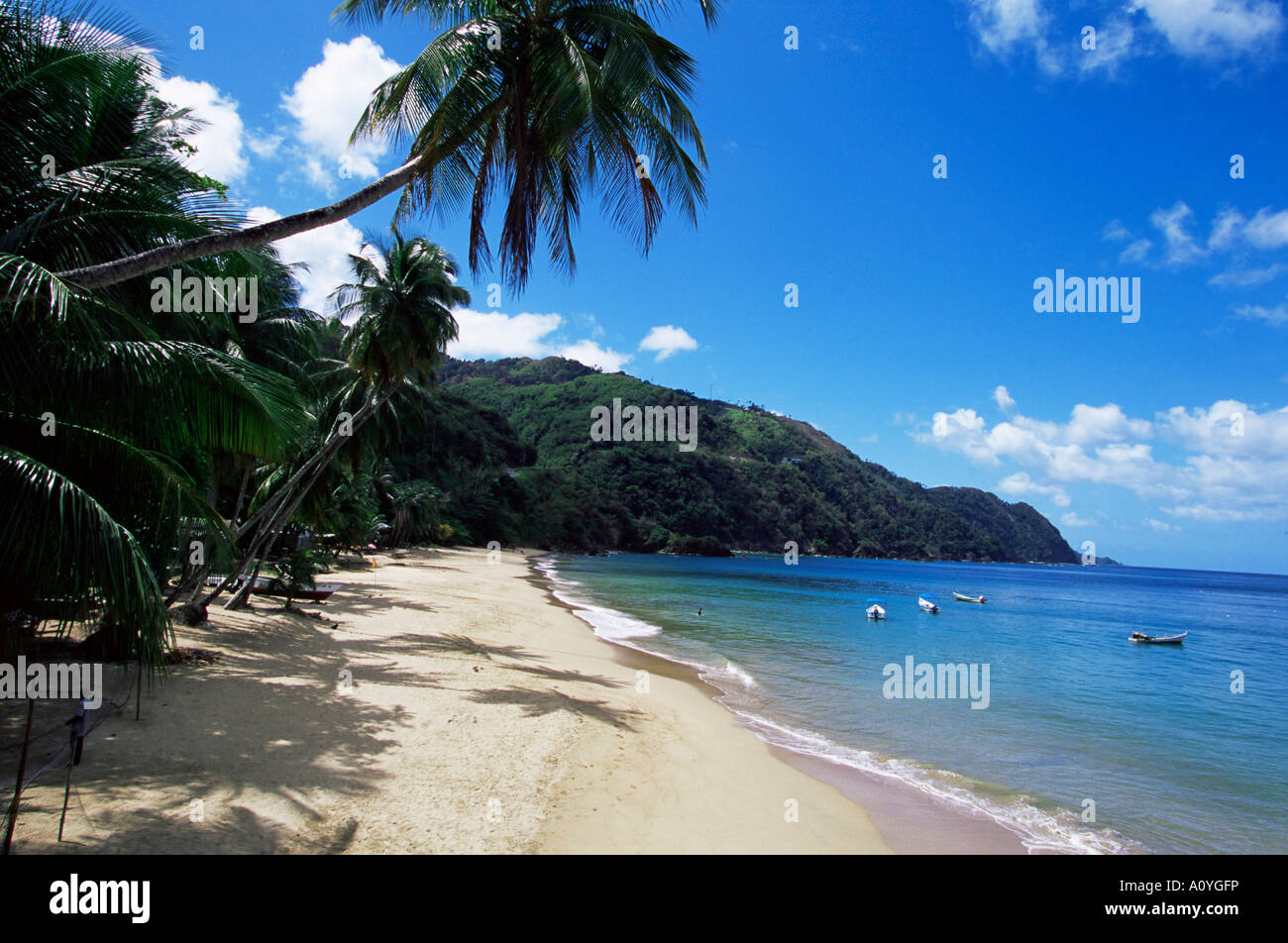 Castara Bay Tobago Antilles Caraïbes Amérique centrale Banque D'Images