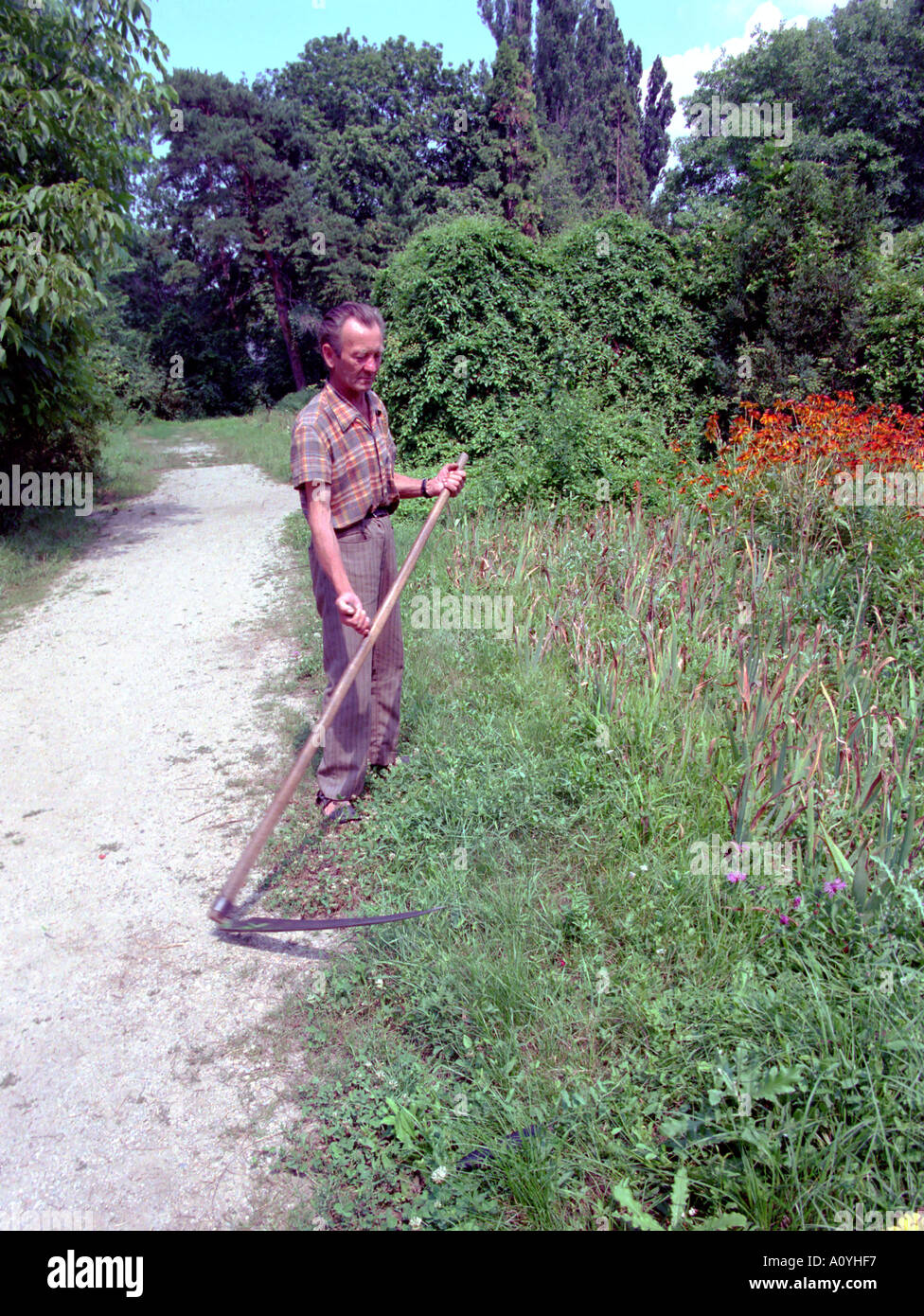 Faux pour le fauchage du foin 3 Banque D'Images