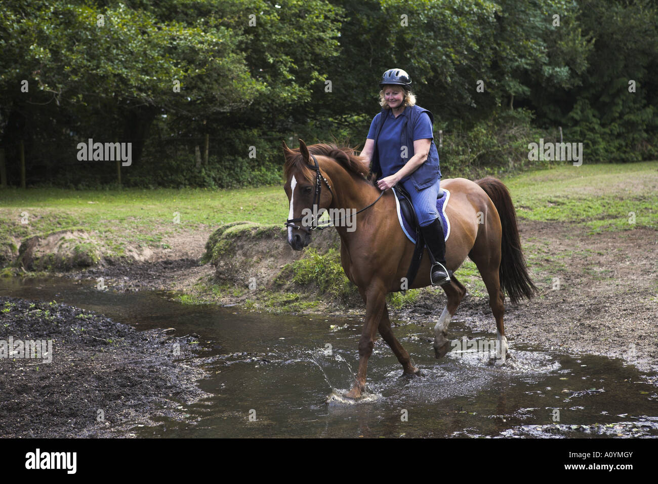 Un cheval et cavalier contre Beaulieu River à Ipley Banque D'Images