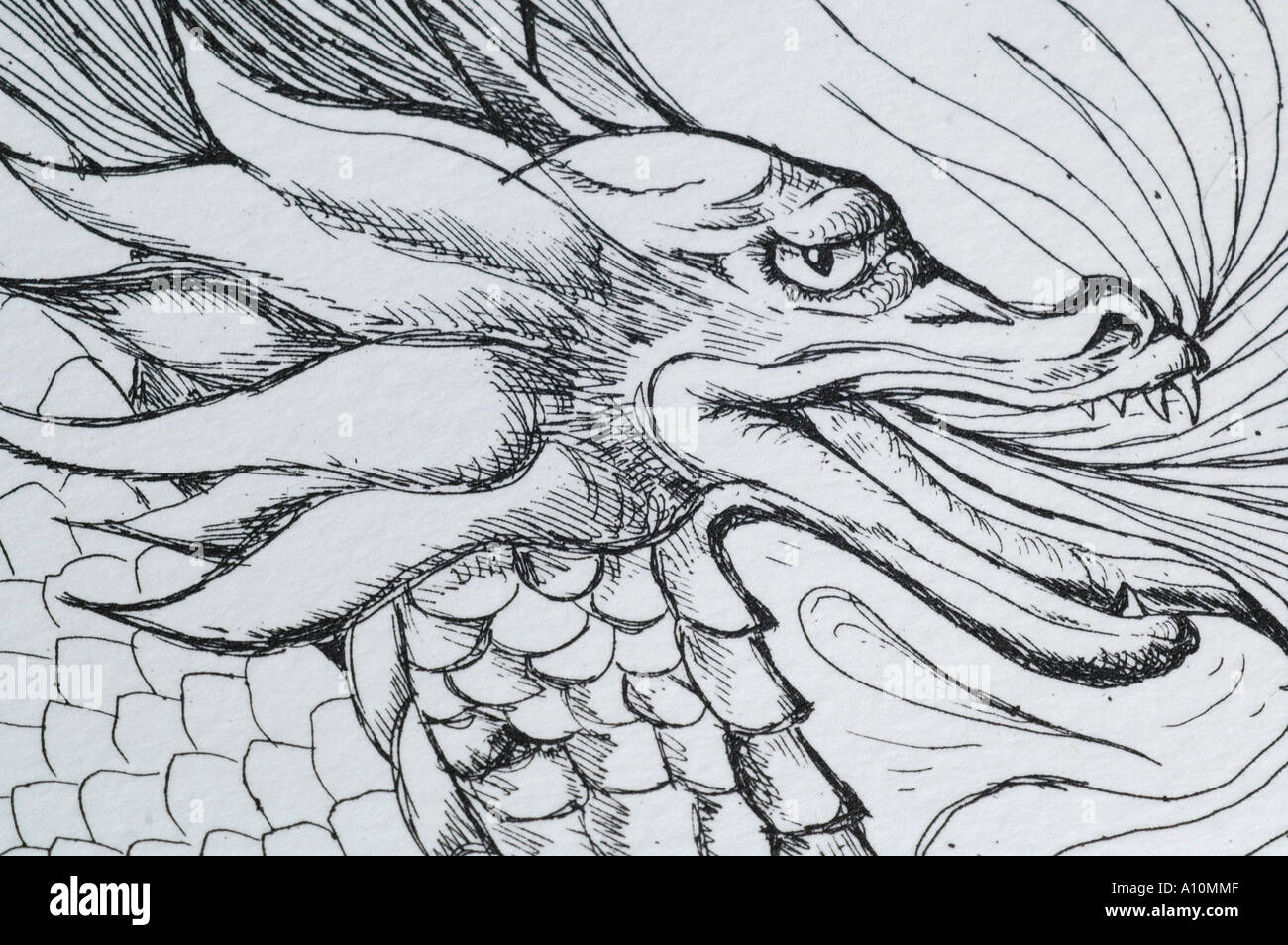 Un gros plan d'une gravure d'art produit par photographe Banque D'Images