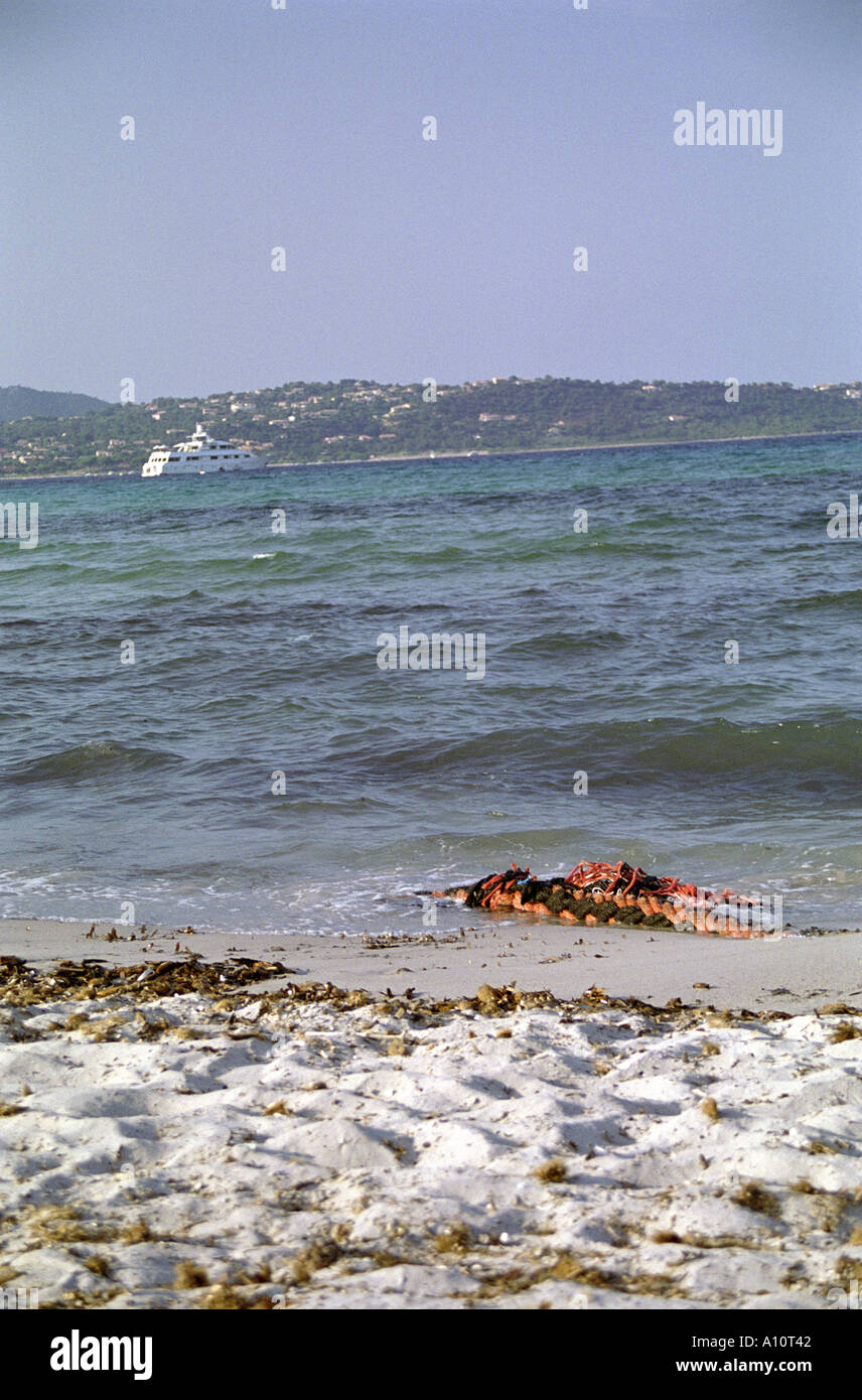 Plage De Pinarellu Corse Banque Dimages Photo Stock