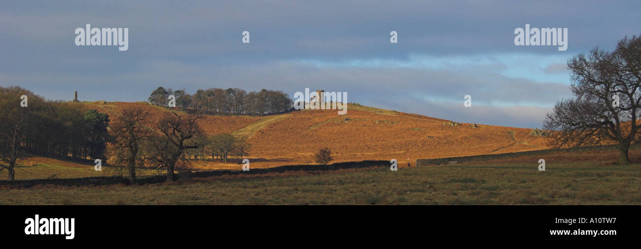 Le vieux John. Bradgate Park. La folie. Leicester. IMAGE PANORAMIQUE Banque D'Images