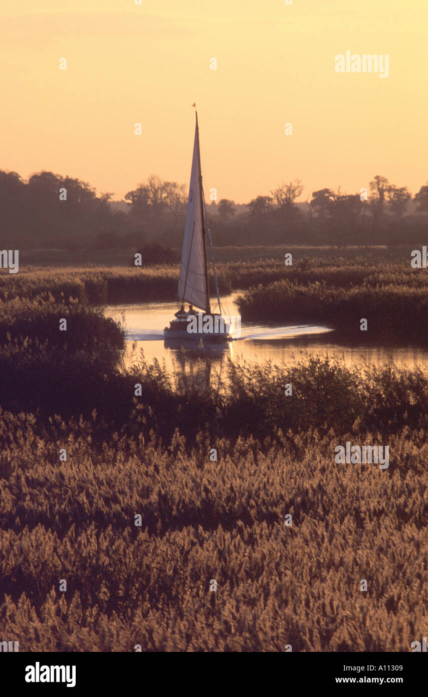 La voile cruiser comment Hill East Anglia norfolk england uk river ant Banque D'Images