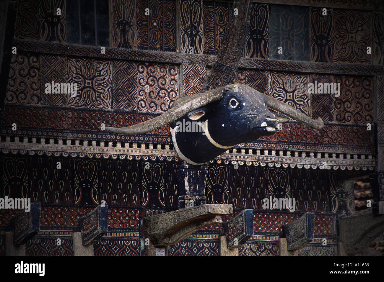 Maison traditionnelle en bois avec tête de buffle Tana Toraja de