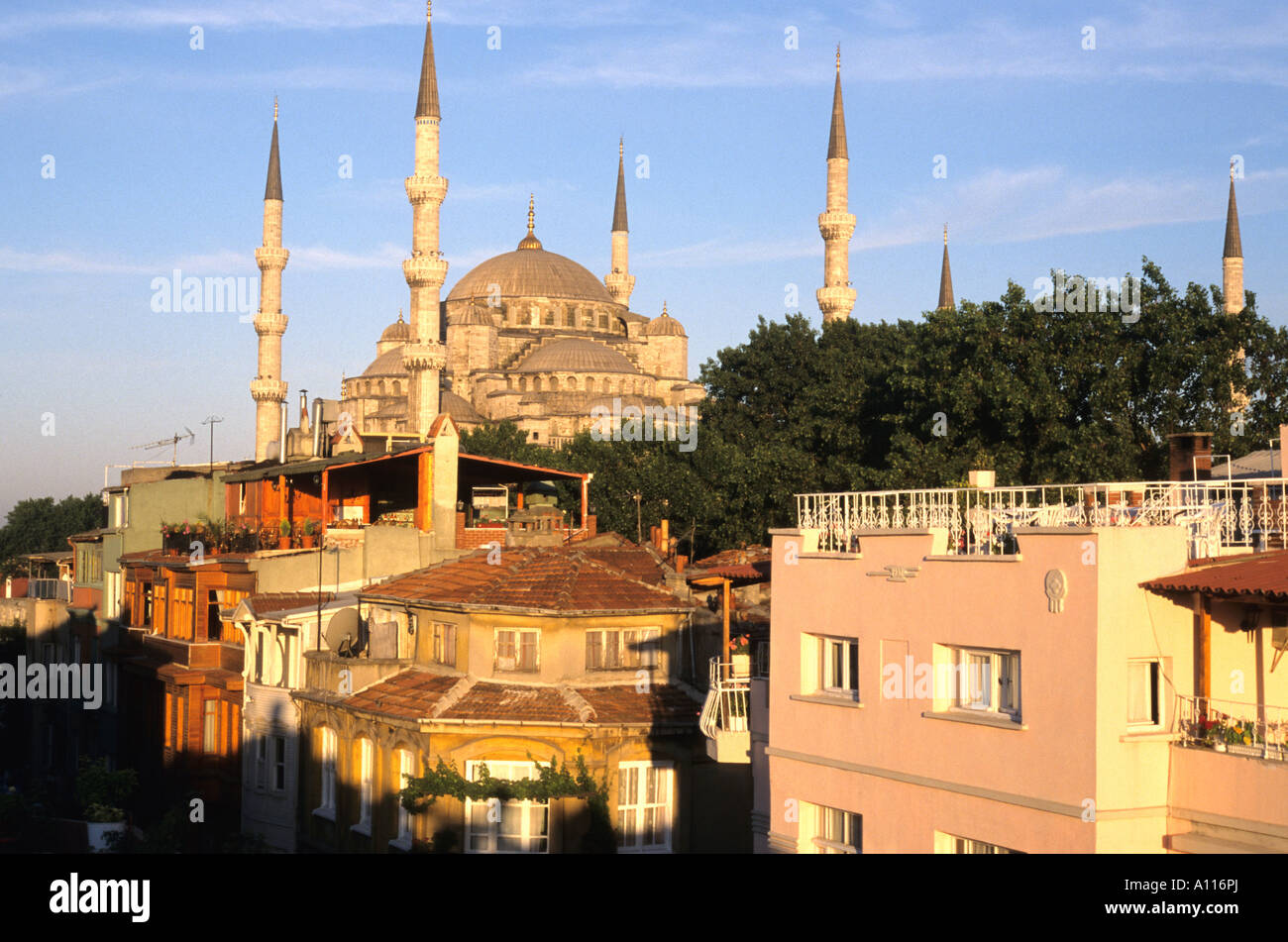 La mosquée bleue, Istanbul, Turquie Banque D'Images