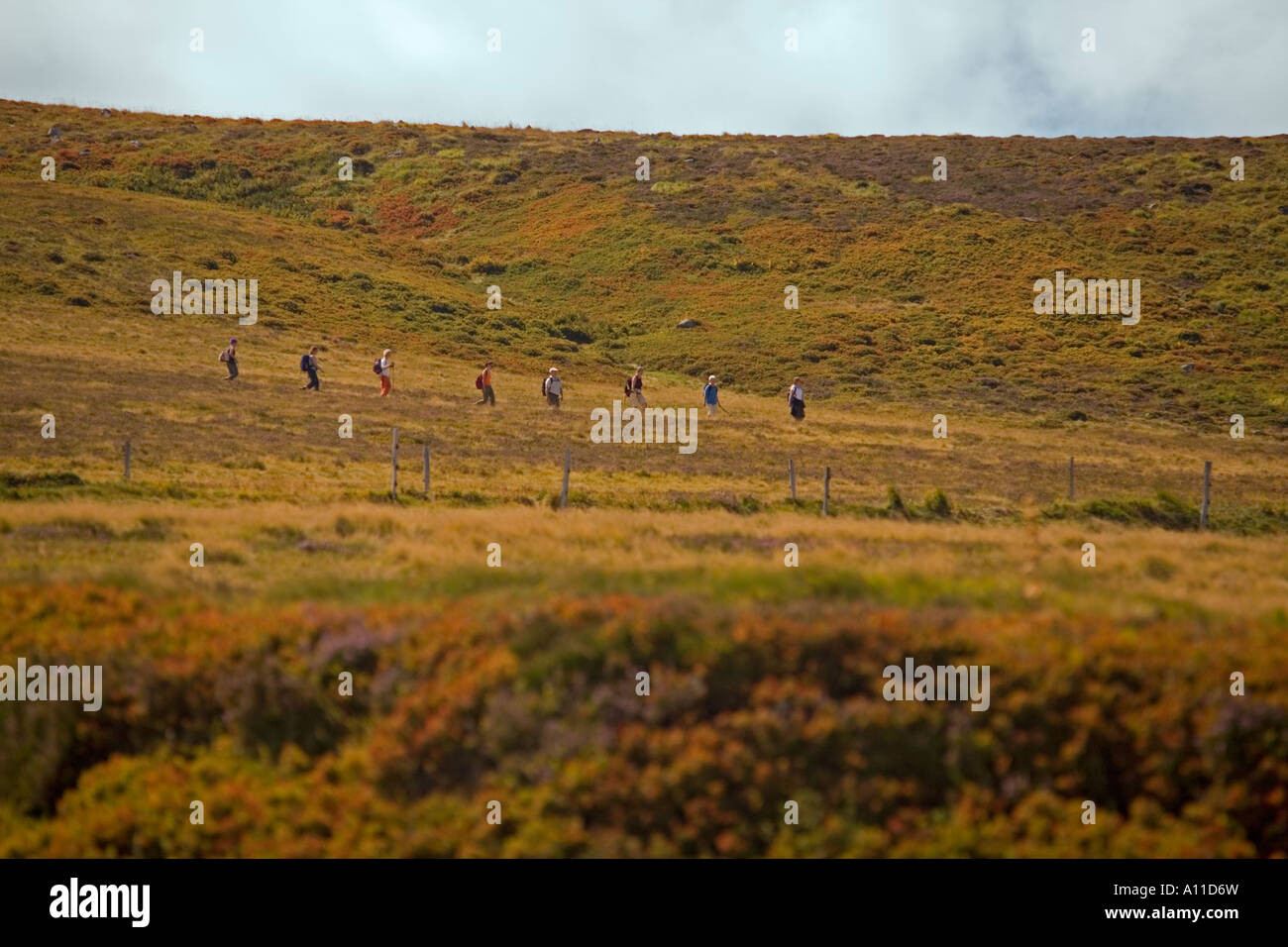 Fichier unique de randonneurs dans le Puy de Dôme (France). Randonneurs se suivant en file indienne (Puy-de-Dôme 63 - France). Banque D'Images