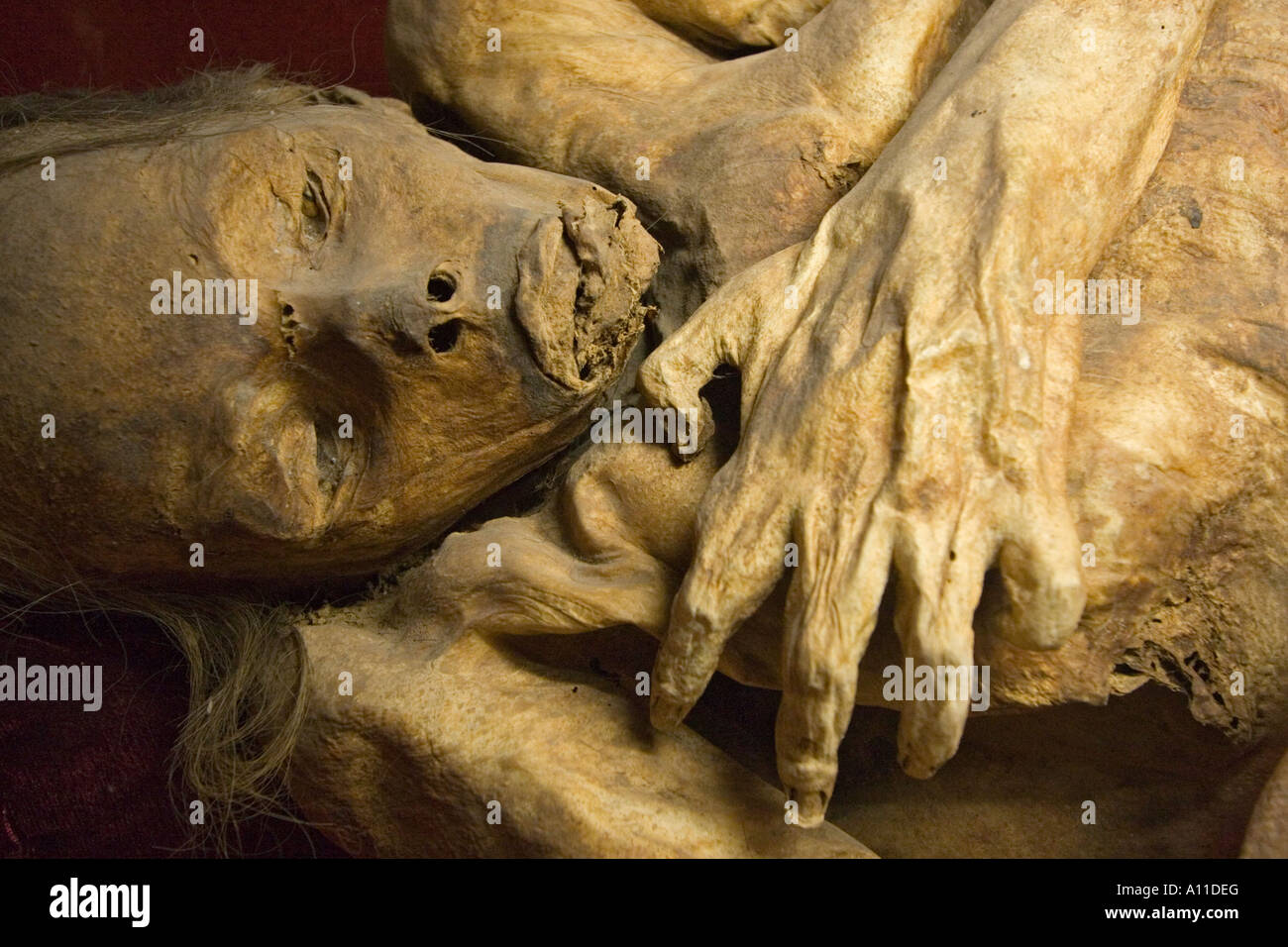 Un cadavre momifié dans le musée des momies (Guanajuato - Mexique). Momie du 'Museo de las Momias' (Guanajuato - Mexique). Banque D'Images