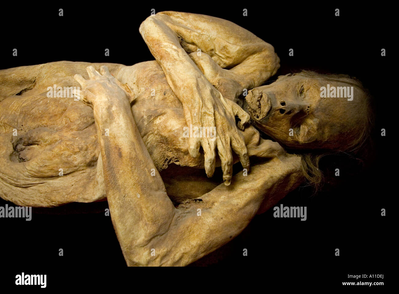 Un cadavre momifié dans le musée des momies (Guanajuato - Mexique). Momie du 'Museo de las Momias' (Guanajuato - Mexique). Banque D'Images