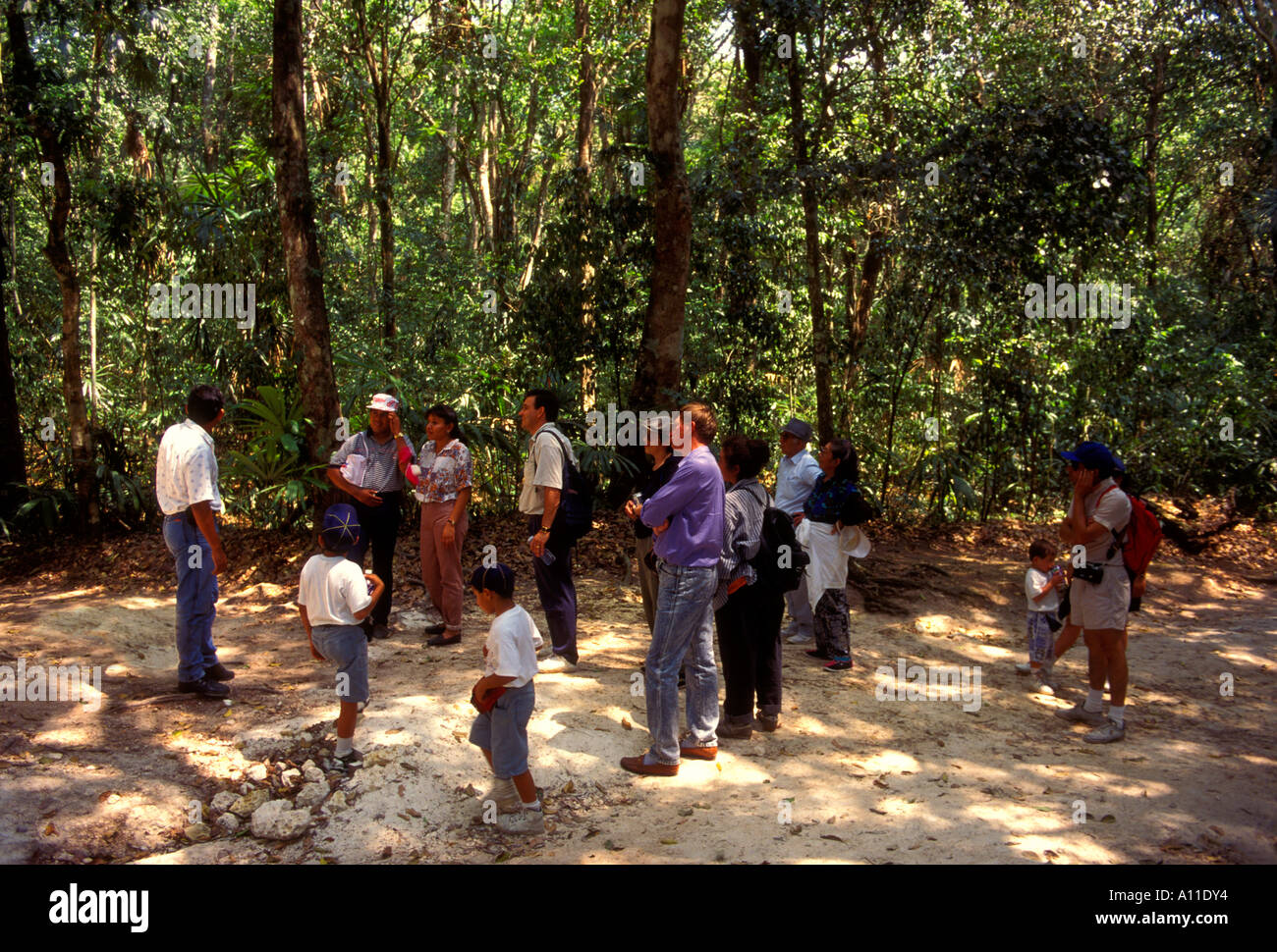Les gens, les touristes, guide, groupe touristique, visite guidée, Tikal, parc national de Tikal, El Petén, El Petén, Guatemala, Ministère de l'Amérique centrale Banque D'Images