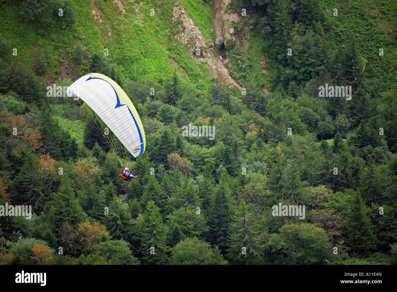 Un parapente sur une forêt de sapins (Puy de Dôme - France). Parapentiste au-dessus d'une forêt de sapins (Puy de Dôme - France). Banque D'Images