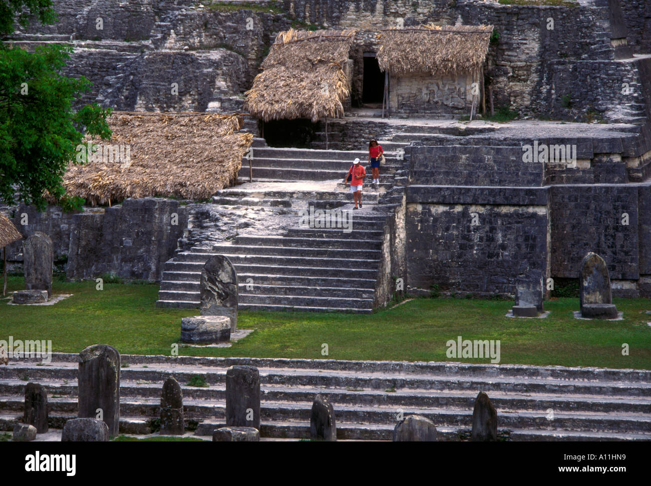 Les personnes en voyage d'Acropole Nord visiteurs touristes au parc national de Tikal El Peten Guatemala Amérique Centrale Ministère Banque D'Images