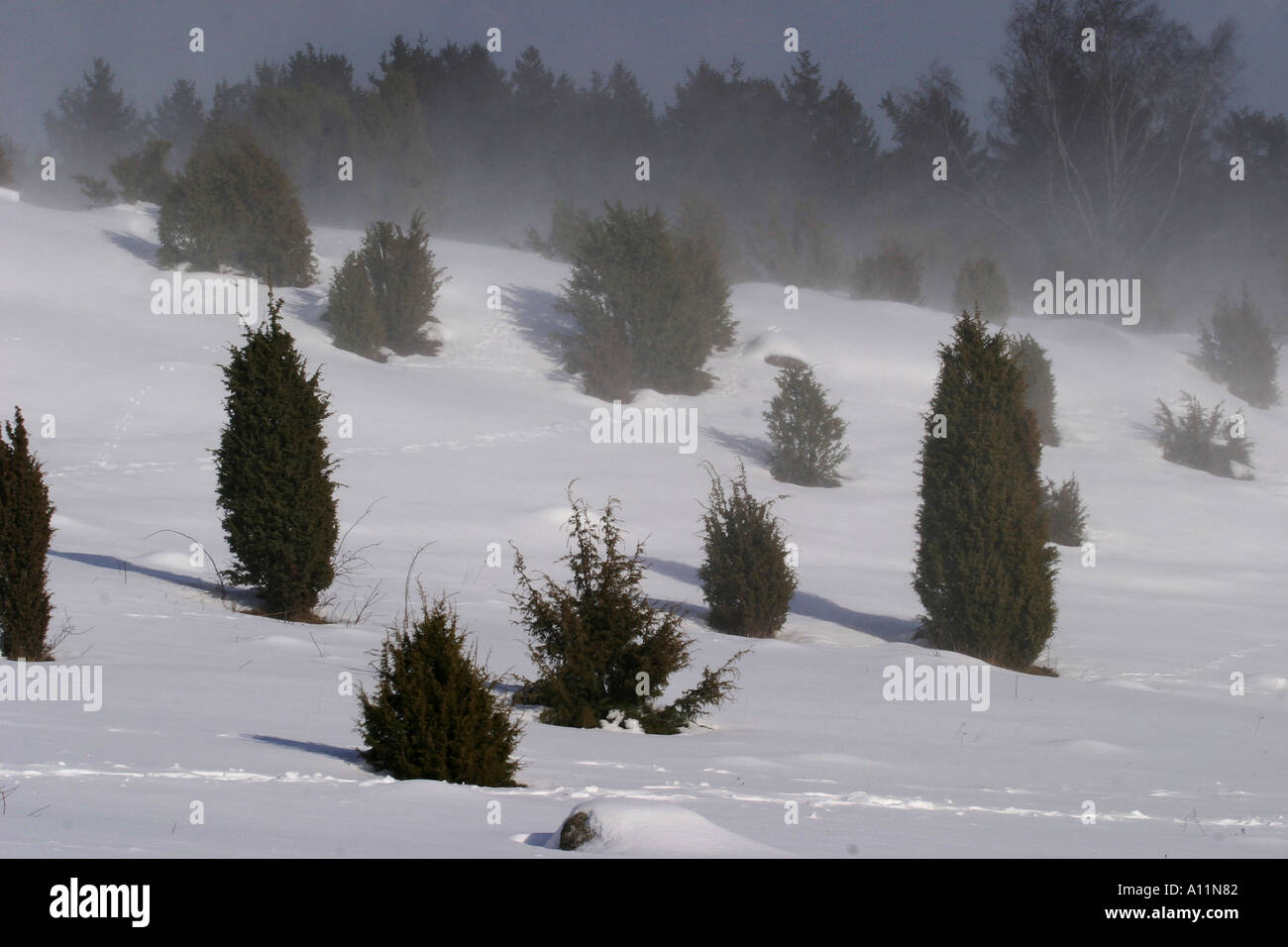 L'hiver Banque D'Images