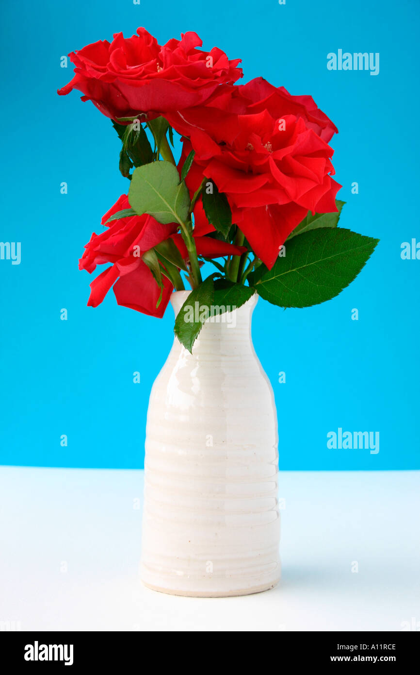 Roses rouges présentées dans un vase blanc Banque D'Images