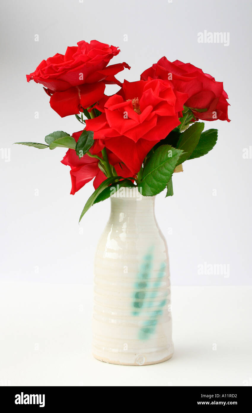 Roses rouges dans un vase. Banque D'Images