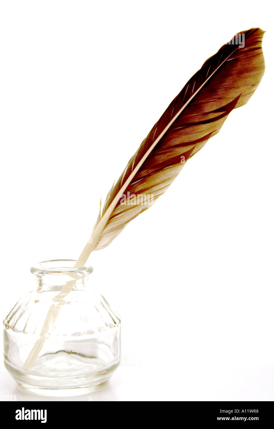 Plume dans un encrier Banque D'Images