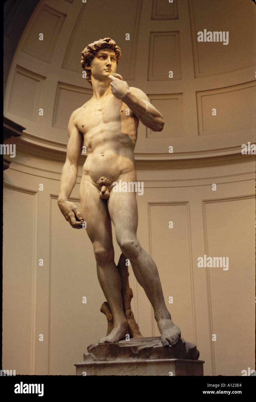 Europe Italie Toscane Florence Galleria dell'Accademia David de Michel-Ange Banque D'Images
