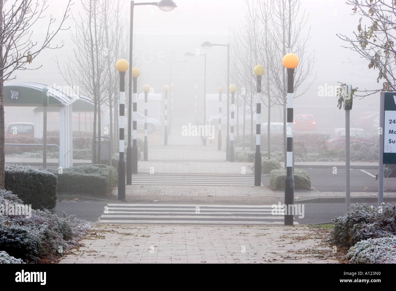 Zebra crossing et belisha beacons dans parking supermarché Banque D'Images