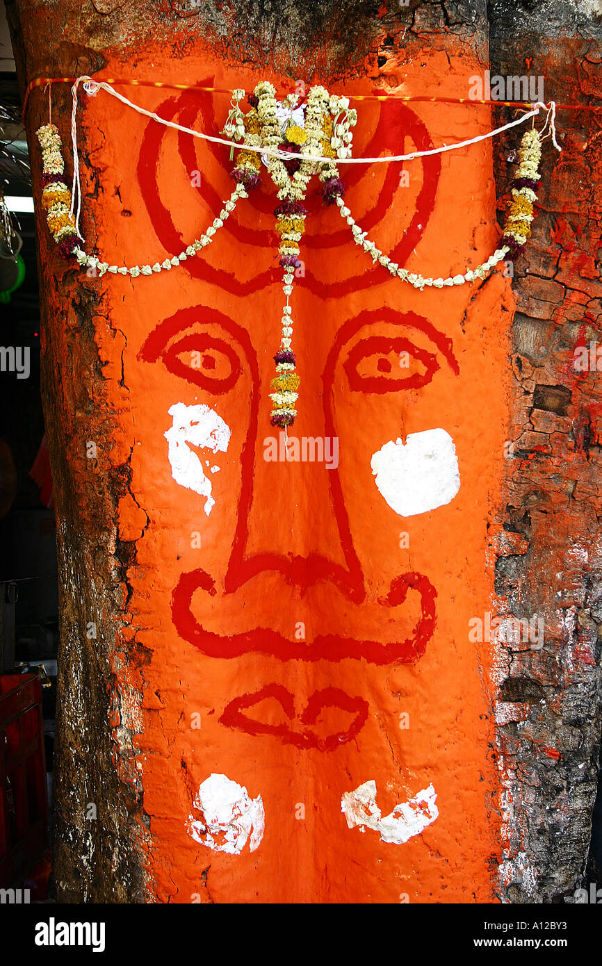 Le RSC75060 Dieu Singe Hanuman safran peint sur le tronc de l'arbre, de l'Inde Banque D'Images