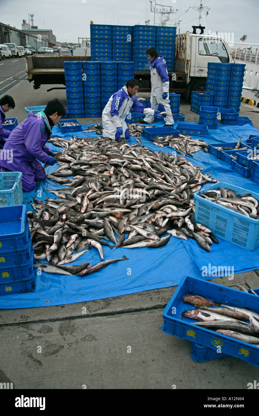 La prise de poisson au Japon Banque D'Images