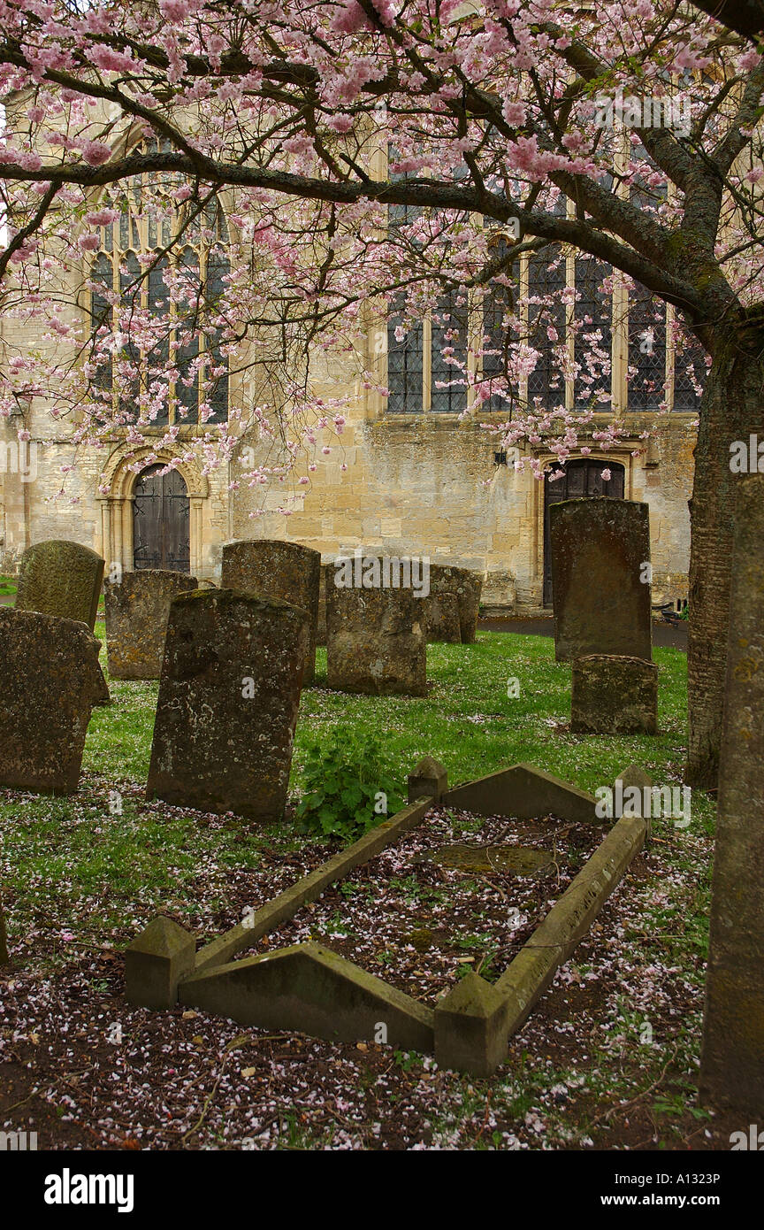 Fleur de printemps dans une vieille église de Cotswold Burford Oxfordshire England de cour Banque D'Images