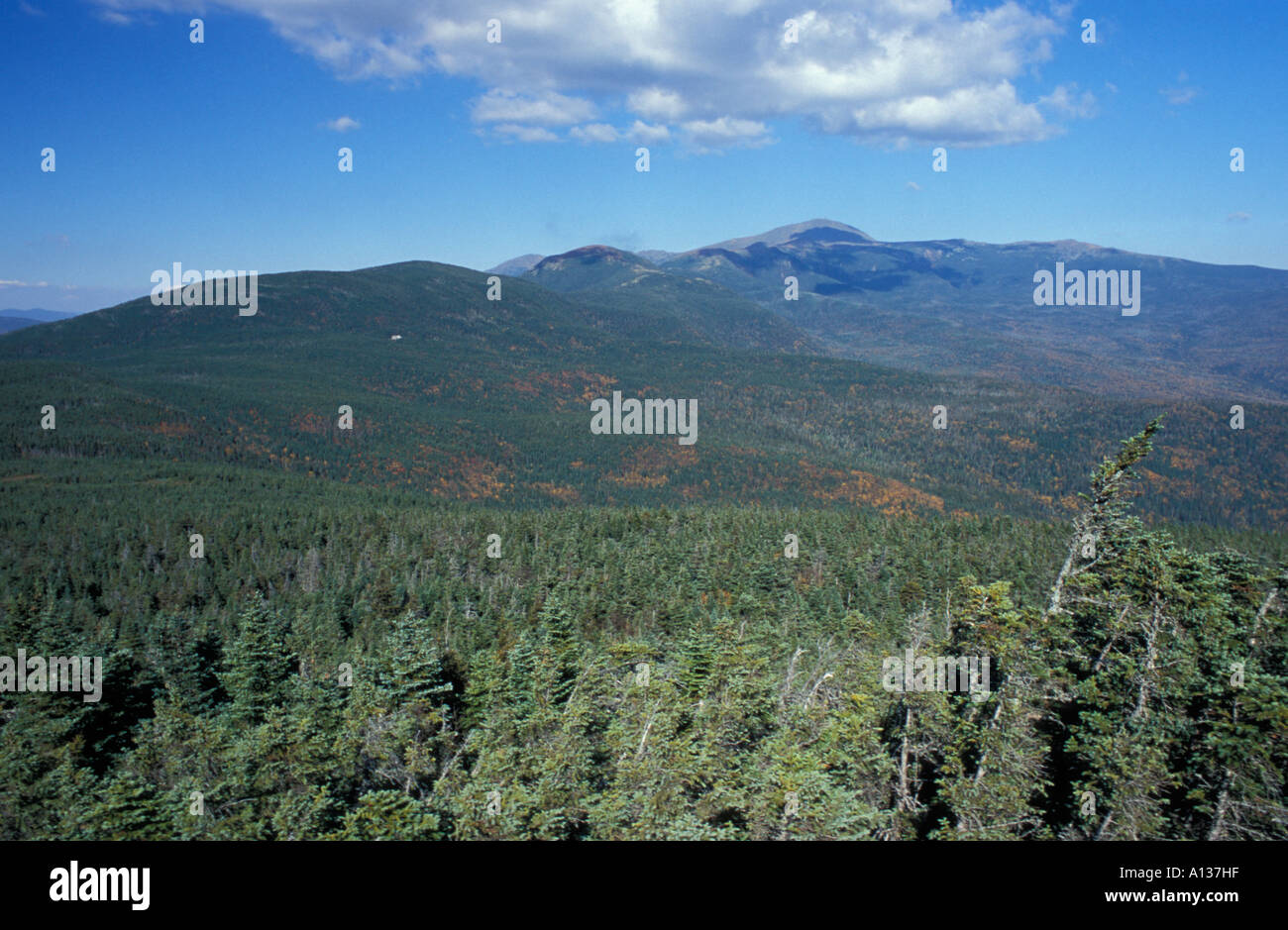 Le mont Washington et le sud de la Montagne Blanche en Presidentials N F de Mount Jackson Appalachian Trail de la forêt boréale, NH Banque D'Images