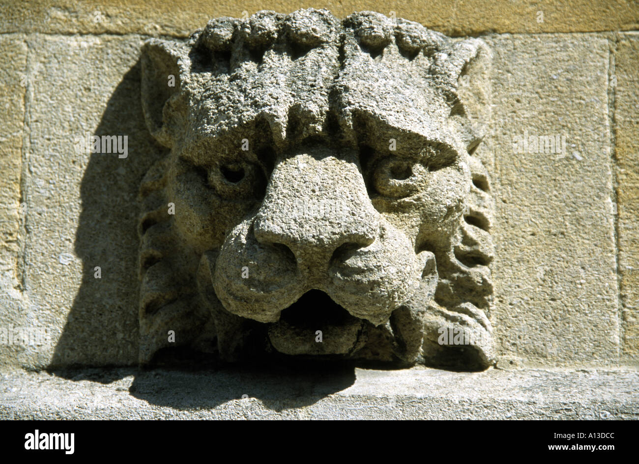 Lion en pierre perplexe Oxford Banque D'Images