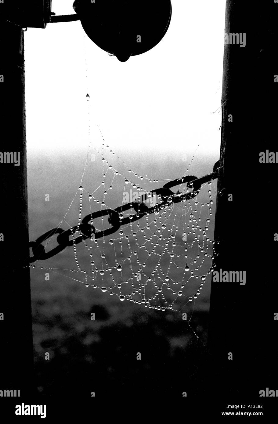 L'abstraction Misty Stevenage Banque D'Images L'abstraction Misty Stevenage Banque D'Images