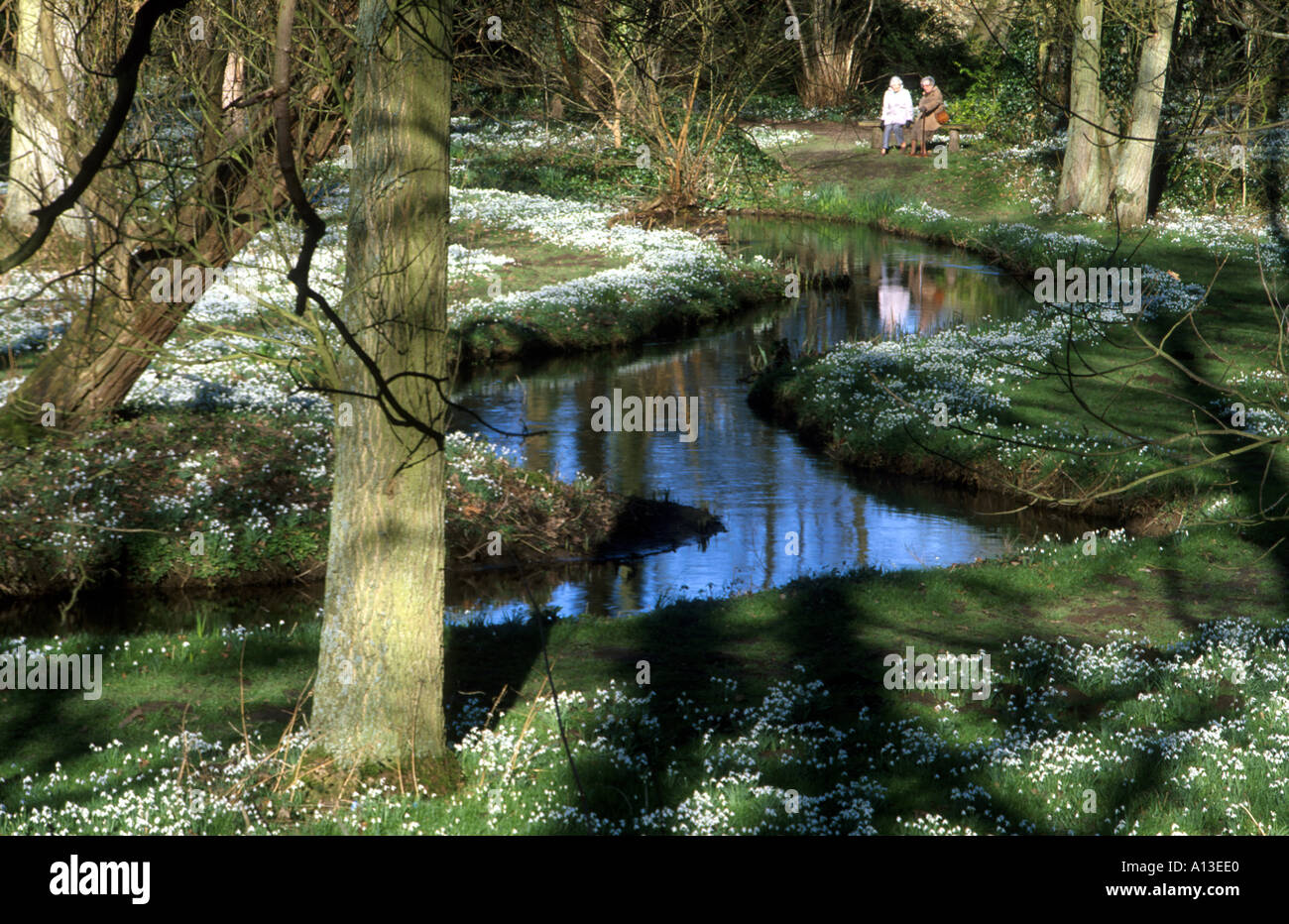 COUPLE SUR RIVERSIDE, SNOWDROP À PIED, Walsingham, abbaye, NORTH NORFOLK EAST ANGLIA ANGLETERRE UK Banque D'Images