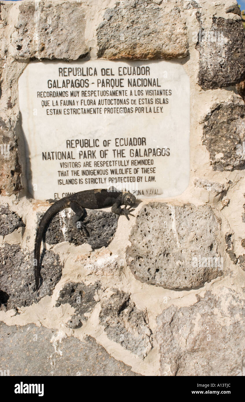 Iguanes marins (Amblyrhynchus cristatus) Bain de soleil à côté de l'avis du Parc National des Galapagos, l'Equateur, Galapagos, Plaza Banque D'Images