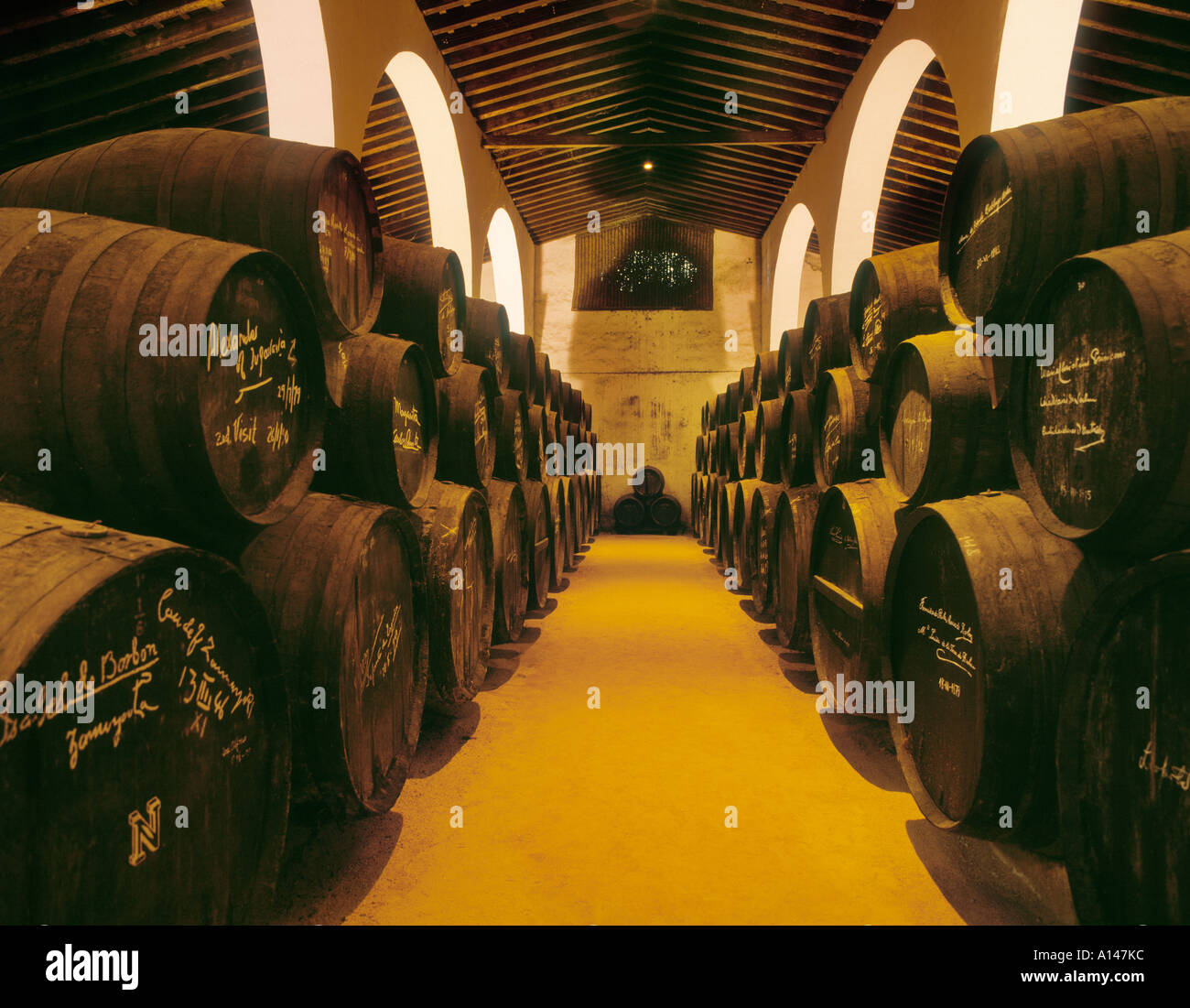 Jerez de la Frontera, province de Cadiz Espagne Cave à Gonzalez Byass Bodegas Banque D'Images