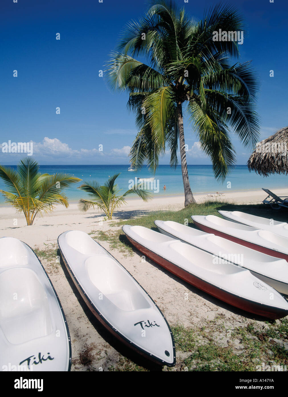 L'île de Contadora dans les Iles Pearl, République du Panama. Playa Larga. Banque D'Images