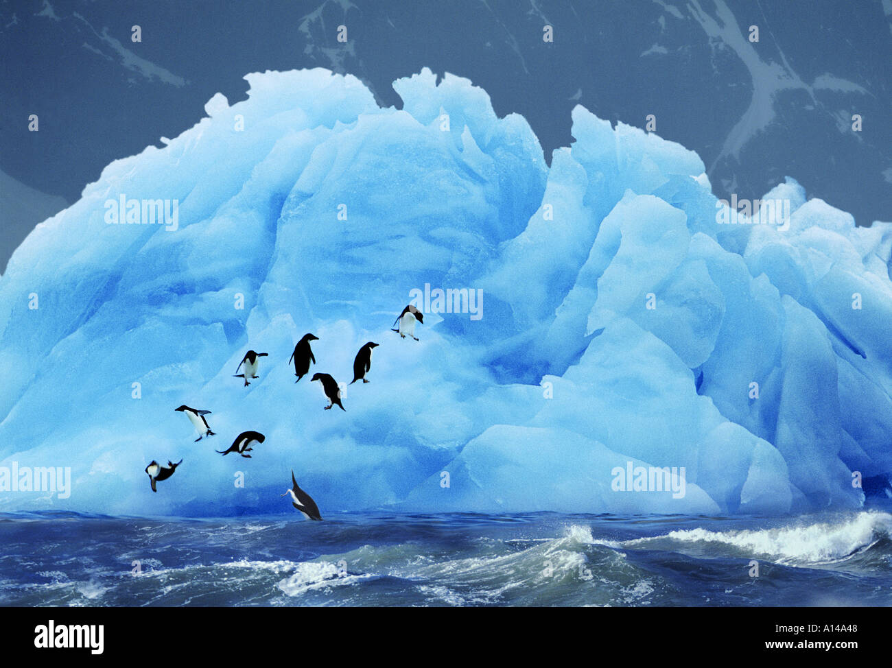 Manchots adélies sur bleu iceberg Antarctique Banque D'Images