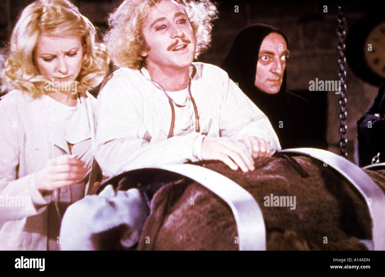 Young Frankenstein Année 1974 réalisateur Mel Brooks Gene Wilder Marty Feldman basé sur le livre de Mary Shelley Banque D'Images