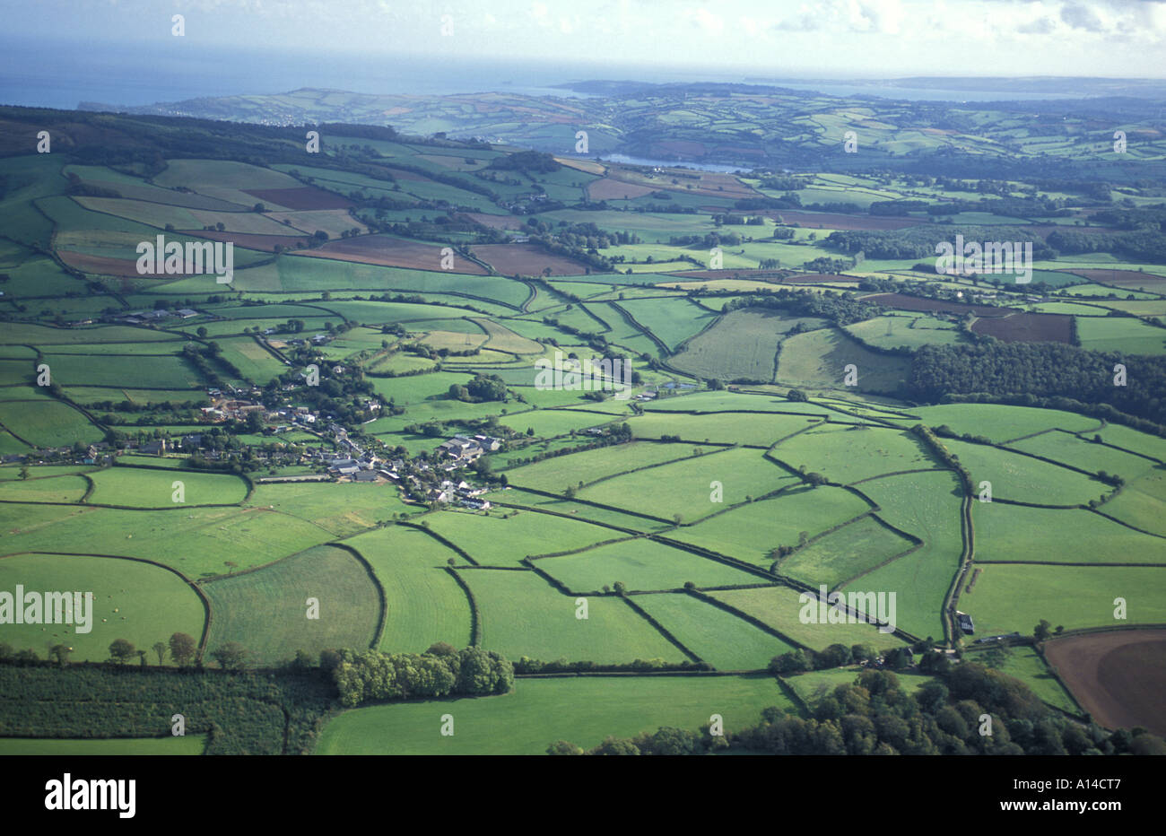 Mosaïque de champs dans la région de South Hams District de South Devon, Angleterre Banque D'Images