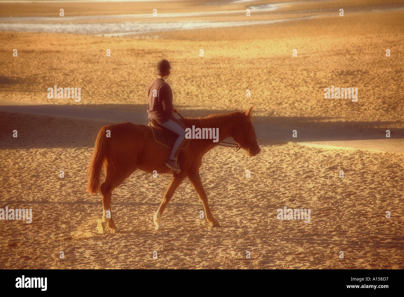 Un cheval-cavalier sur la plage Sword Beach Riva Bella Jour J en Ouistrehen DHughes Normandie France Banque D'Images