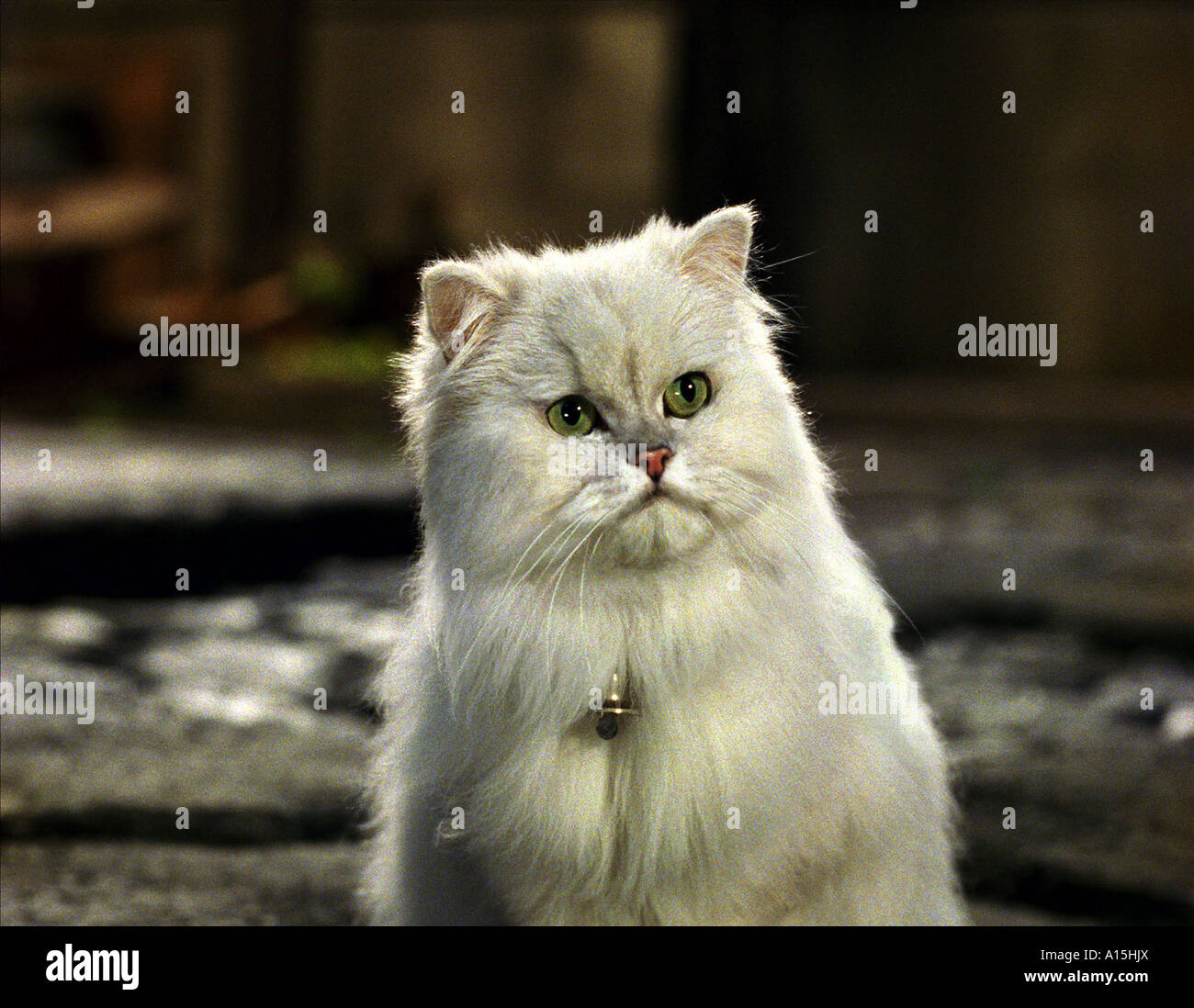 Stuart Little 2 Année 2002 réalisateur Rob Minkoff Banque D'Images