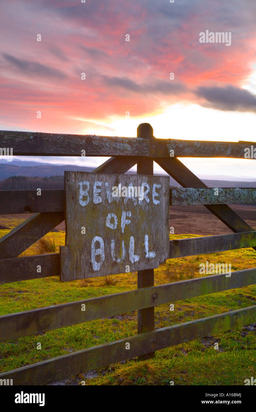 Méfiez-vous de la maison bull signe sur la ferme en bois sur la lande de Pitlochry Scotland zone agricole. UK Banque D'Images